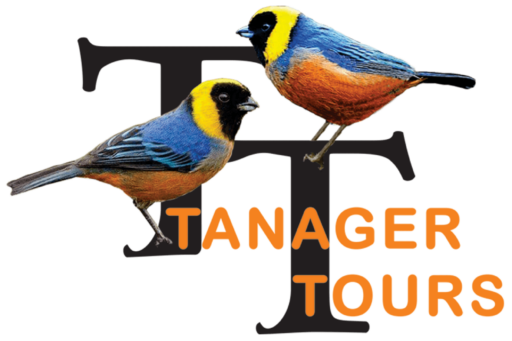 Birding Tours - Birdwatching Tours